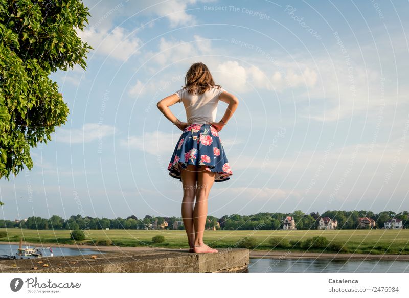 An der Elbe feminin Junge Frau Jugendliche 1 Mensch Natur Landschaft Himmel Wolken Sommer Schönes Wetter Baum Gras Park Wiese Flussufer Haus Einfamilienhaus