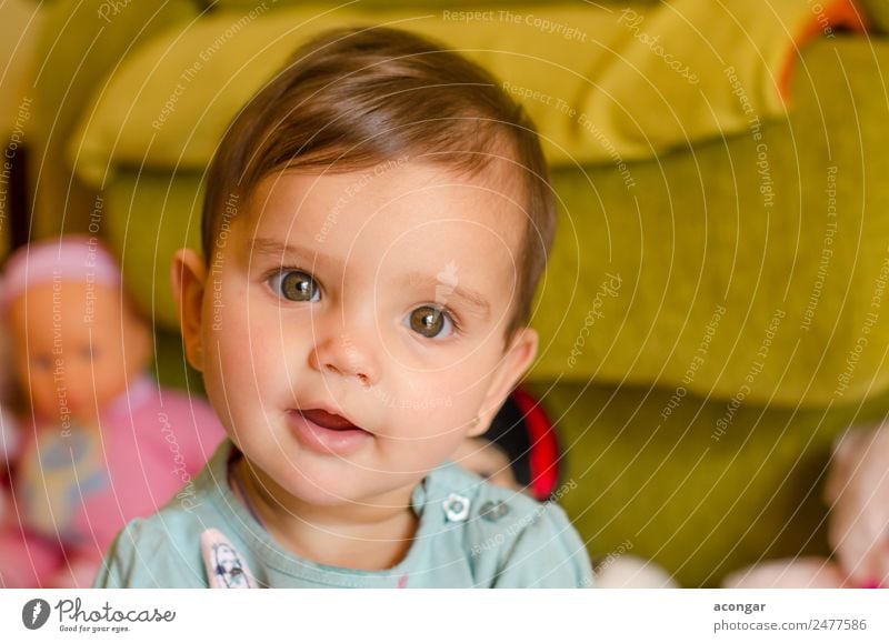 Porträt eines schönen Babys Gesicht Kind Mensch feminin Mädchen Kindheit 1 0-12 Monate Puppe Lächeln elegant Freundlichkeit Fröhlichkeit frisch Sympathie Liebe