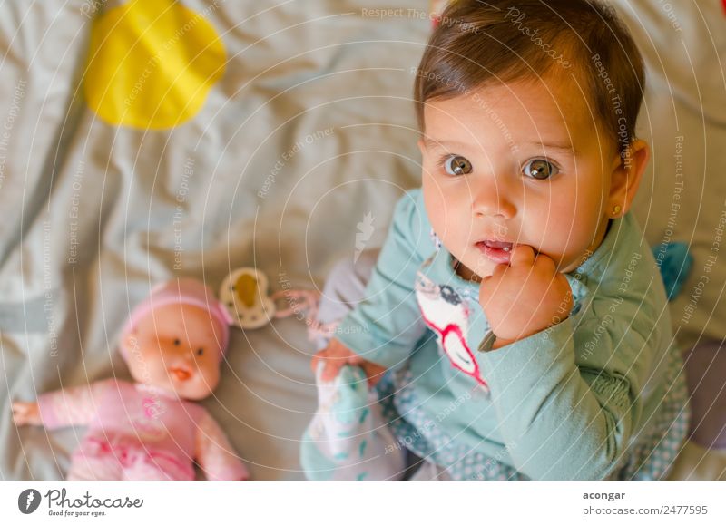 Porträt eines schönen Babys Lifestyle elegant Gesicht Kind Mensch feminin Mädchen Kindheit 1 0-12 Monate Puppe Blick Freundlichkeit Glück lecker natürlich