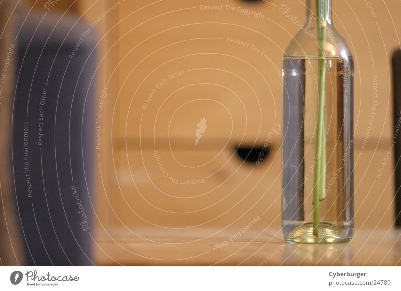 Bottle Vase Blumenvase beige Weinflasche Häusliches Leben Glas Flasche