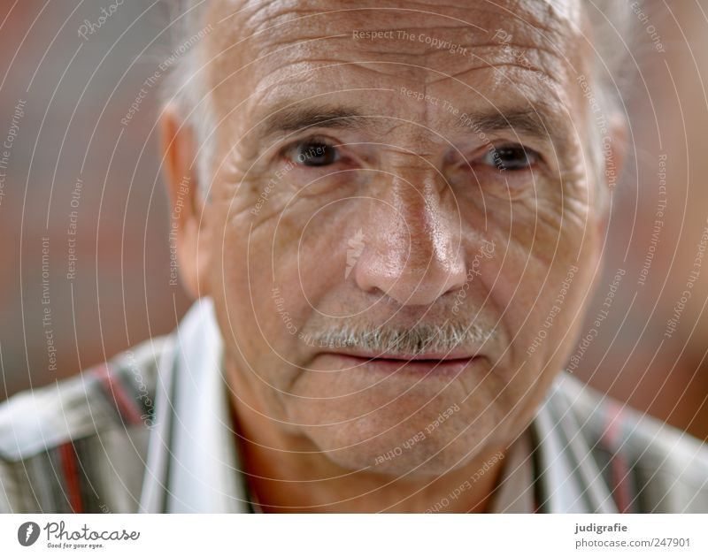 Siebenundsiebzig Mensch maskulin Mann Erwachsene Männlicher Senior Gesicht 1 60 und älter Bart Oberlippenbart warten Sympathie Farbfoto Außenaufnahme Porträt