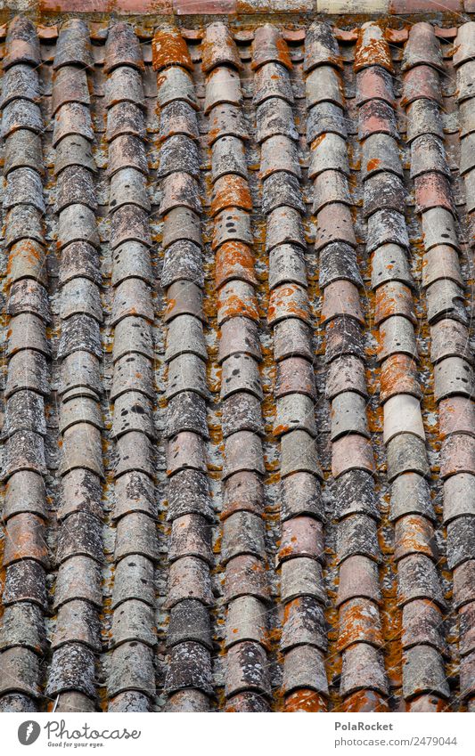 #A# Dachziegel Kunst ästhetisch Muster mediterran Frankreich Provence Bonnieux ziegelrot viele Reihe Farbfoto Gedeckte Farben Außenaufnahme Detailaufnahme