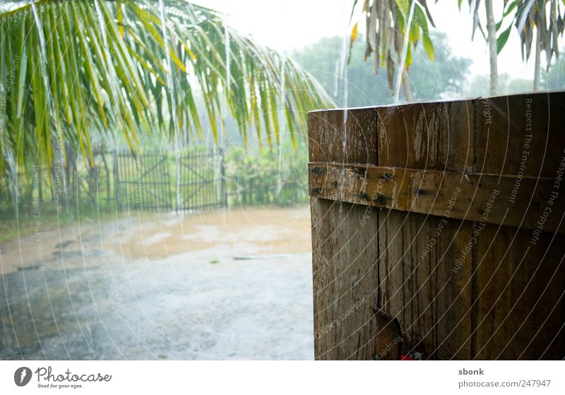 Monsoon Natur Pflanze Wasser Wassertropfen Klima Wetter schlechtes Wetter Unwetter Regen Gewitter Dorf Menschenleer Garten Tür nass trist Monsun Madagaskar