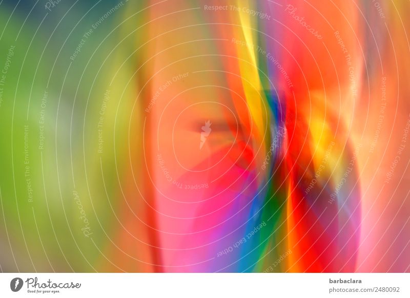 Geschwindigkeit | Windrad Garten Dekoration & Verzierung drehen mehrfarbig Freude Bewegung Farbe Farbfoto Außenaufnahme Detailaufnahme Experiment abstrakt