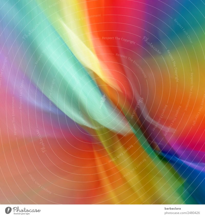 Kunterbunter Glückwunsch Dekoration & Verzierung Windrad drehen leuchten Geschwindigkeit mehrfarbig Stimmung Freude Bewegung Farbe Kunst Sinnesorgane Farbfoto
