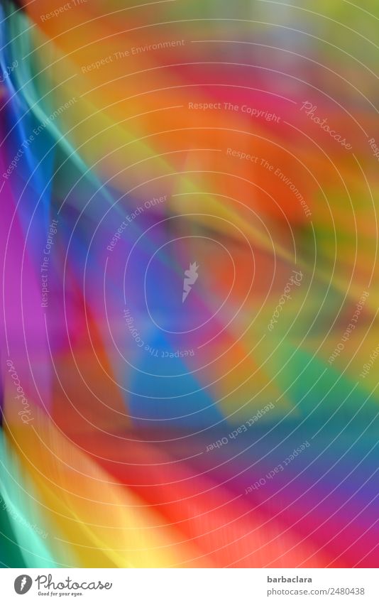 komplex | Farbenspiel Spielzeug Dekoration & Verzierung Windrad drehen exotisch Geschwindigkeit mehrfarbig Stimmung Bewegung Kreativität Kunst Farbfoto