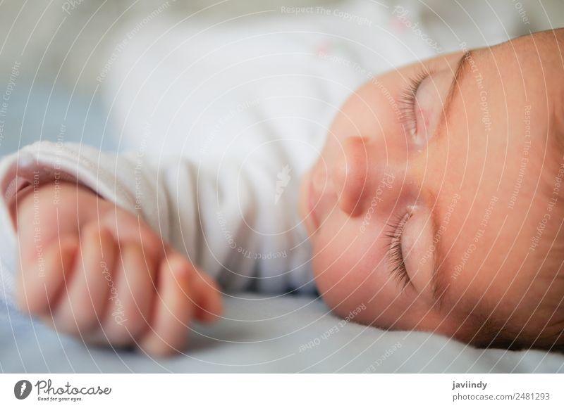Neugeborenes Babymädchen schläft zu Hause auf blauem Laken Glück schön Gesicht Leben Kind Mensch Mädchen Frau Erwachsene Kindheit 1 0-12 Monate schlafen klein