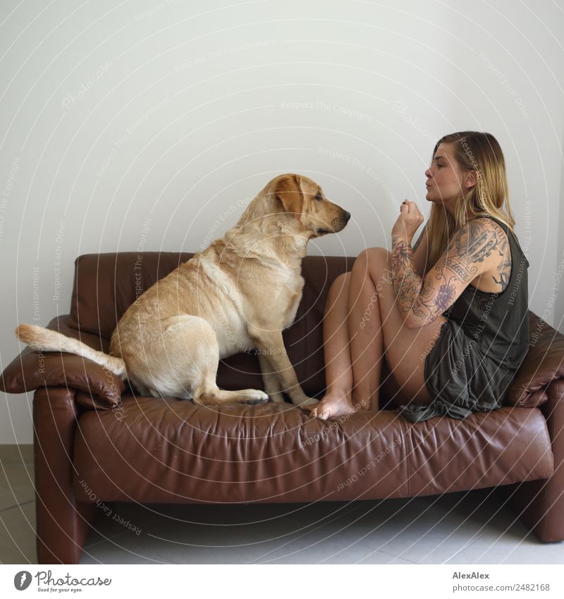 Blonder Labrador mit großer Frau auf der Couch Freude schön harmonisch Wohnung Raum Sofa Junge Frau Jugendliche 18-30 Jahre Erwachsene Kleid Tattoo Barfuß blond