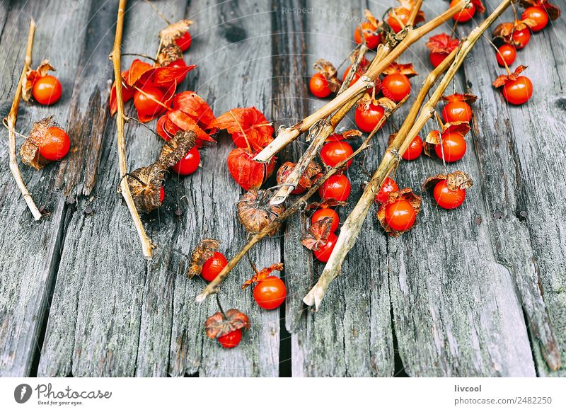 Kleine Tomaten über Holz Lebensmittel Gemüse Frucht Mittagessen Bioprodukte Vegetarische Ernährung Diät Ferien & Urlaub & Reisen Tourismus Ausflug Essen kaufen