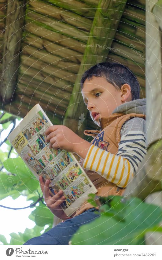 Junge liest einen Comic im Holzhaus des Baumes. lesen Haus Mensch maskulin Kind Kindheit 1 3-8 Jahre Buch Natur sitzen Weisheit Konzentration tadeln Feige