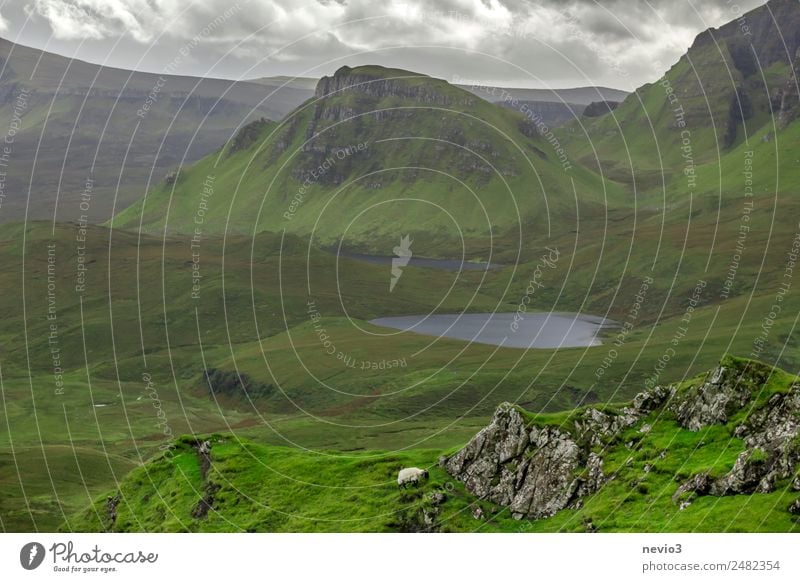 The Quiraing auf der Isle of Skye in Schottland Landschaft Gras Grünpflanze Wiese See entdecken Erholung Ferien & Urlaub & Reisen wandern grün Frühlingsgefühle