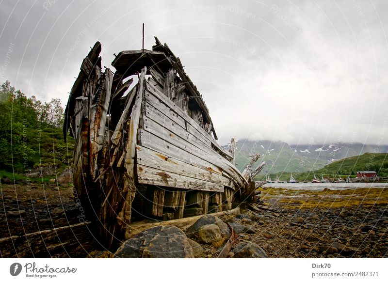 Schiffswrack auf den Lofoten Fischereiwirtschaft Natur Algen Berge u. Gebirge Küste Bucht Fjord Meer Polarmeer Insel Ebbe Norwegen Fischereihafen