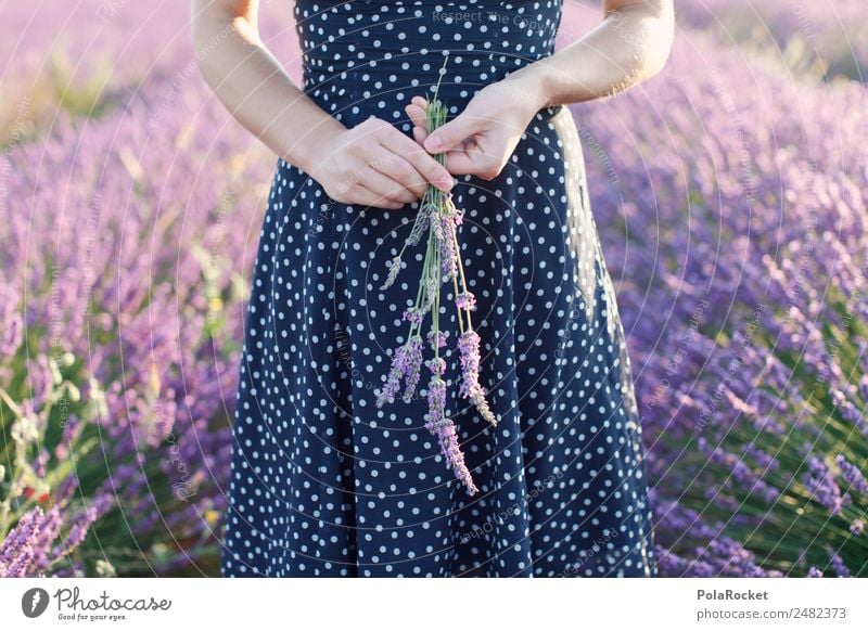 #A# Lavendel Mädchen Umwelt Natur Landschaft Blume Garten Wiese Feld Lavendelfeld Lavendelernte violett mädchenhaft zart Frau Frauenkörper Kleid gepunktet