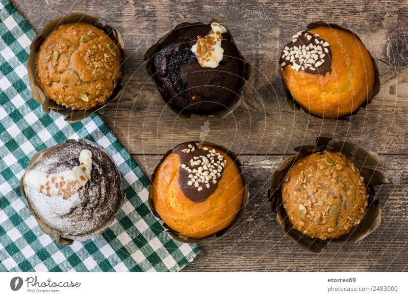 Draufsicht auf verschiedene frische, leckere Muffins Bäckerei Schokolade Konfekt Dessert süß Kuchen Essen zubereiten kochen & garen Cupcake Lebensmittel