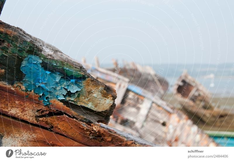 Trash | aus der Bretagne Landschaft Küste Strand Bucht Schifffahrt alt Wasserfahrzeug Schiffswrack Schiffsrumpf Friedhof Patina abblättern Lack Farbe Bootslack