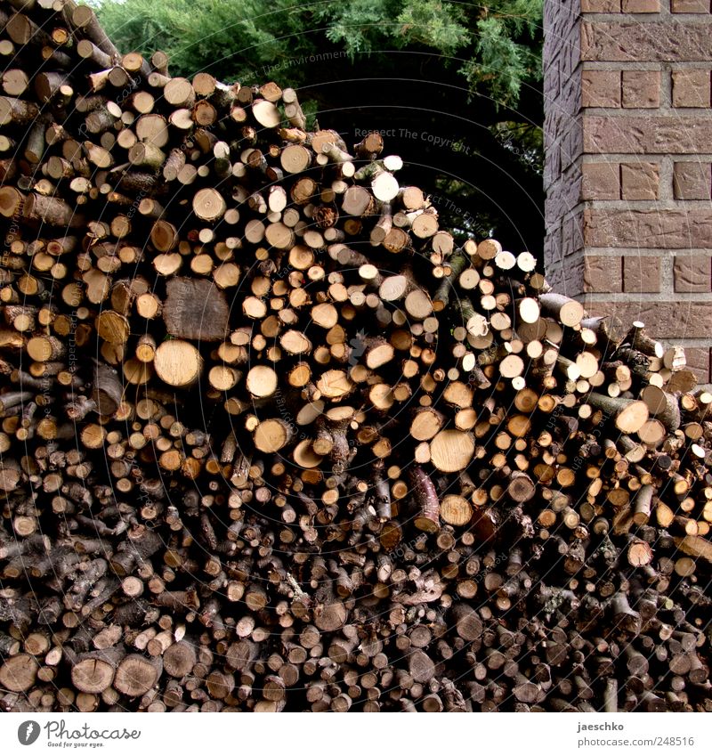 Ordentlich Holz Stein viele nachhaltig Brennholz heizen Stapel Vorrat Ast Hütte ansammeln Gartenarbeit Brennstoff Holzlager frisch Lagerschuppen Holzstapel