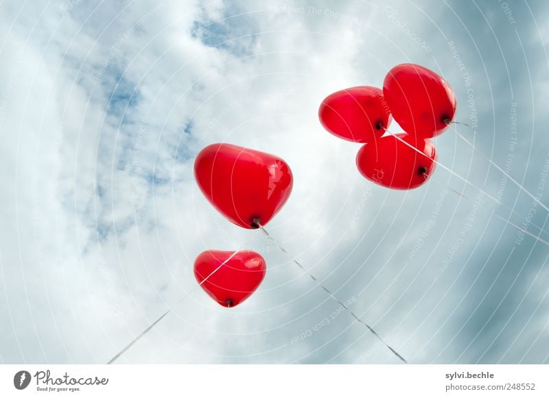 Love, Love, Love Feste & Feiern Valentinstag Himmel Wolken Gewitterwolken Wetter Unwetter Herz rot Frühlingsgefühle Liebe Verliebtheit Romantik Luftballon