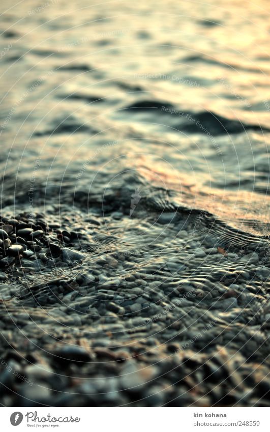 verloren ruhig Meditation Wasser Sommer Wellen Küste Seeufer Flussufer Strand Meer Bach Romantik Fernweh Einsamkeit Vergänglichkeit Rauschen Wellenrauschen