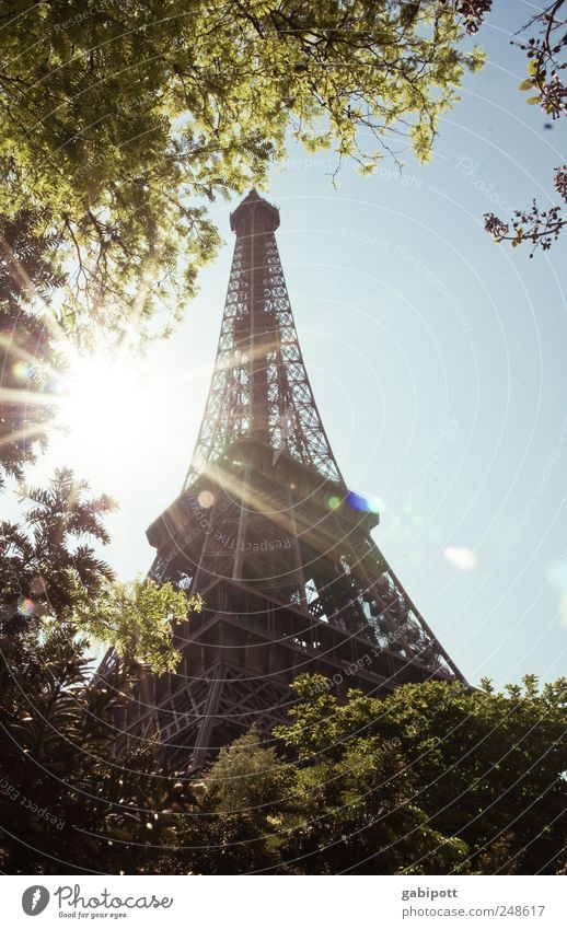 Ausverkauf Natur Himmel Wolkenloser Himmel Sommer Schönes Wetter Baum Park Paris Frankreich Bauwerk Architektur Sehenswürdigkeit Wahrzeichen Tour d'Eiffel