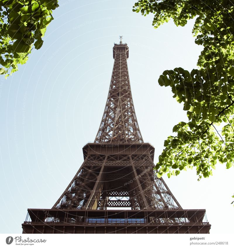 Aufstrebend Natur Himmel Wolkenloser Himmel Sommer Schönes Wetter Baum Park Paris Frankreich Stadtzentrum Turm Bauwerk Gebäude Sehenswürdigkeit Wahrzeichen