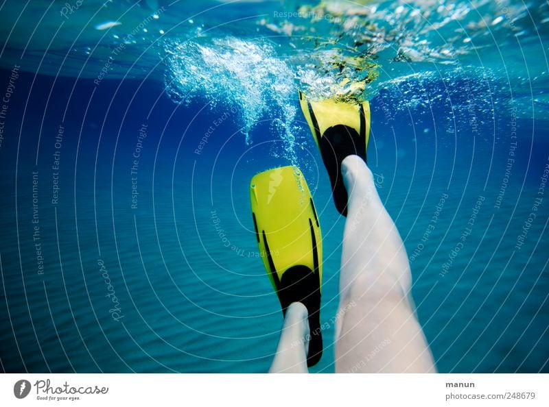 aqua-power Freizeit & Hobby Ferien & Urlaub & Reisen Sommerurlaub Fitness Sport-Training Wassersport Schwimmen & Baden tauchen Mensch Beine 1 Meer Schwimmhilfe