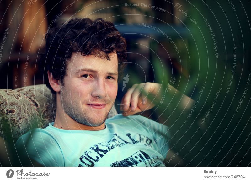 Lässig im Sessel Mensch maskulin Junger Mann Jugendliche 1 18-30 Jahre Erwachsene Erholung Blick sitzen Coolness kalt blau grün Porträt Blick in die Kamera