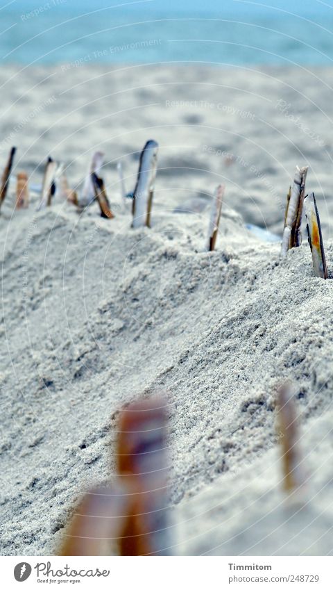 Der Mupfelwall Umwelt Natur Sommer Strand Nordsee Dänemark Sand ästhetisch stark blau grau Gefühle Lebensfreude Sicherheit Freude Ferien & Urlaub & Reisen