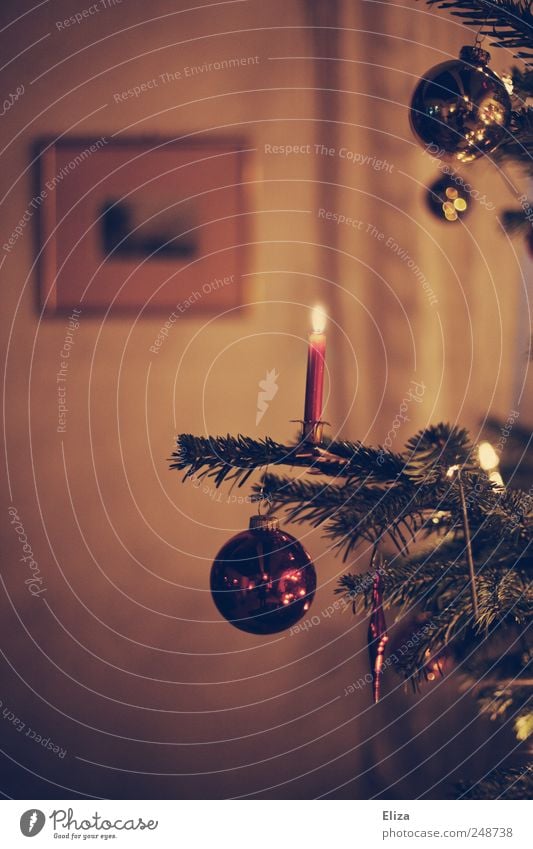 Geschmückter Weihnachtsbaum mit brennender Kerze und Christbaumkugeln im Wohnzimmer in retro Farbgebung Weihnachten Weihnachten & Advent authentisch