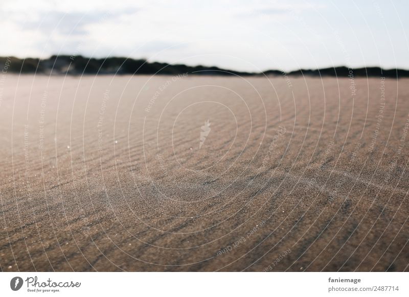 wie Sand am Meer Umwelt Natur Landschaft ästhetisch Strand Sandstrand Spuren Wind Sandkorn Muster Wüste glänzend Camargue Düne Unschärfe beige braun