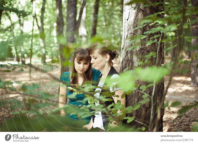 druschba Sinnesorgane Erholung ruhig Ausflug Junge Frau Jugendliche Erwachsene 2 Mensch 18-30 Jahre Umwelt Natur Landschaft Baum Blatt Wald brünett Denken Blick
