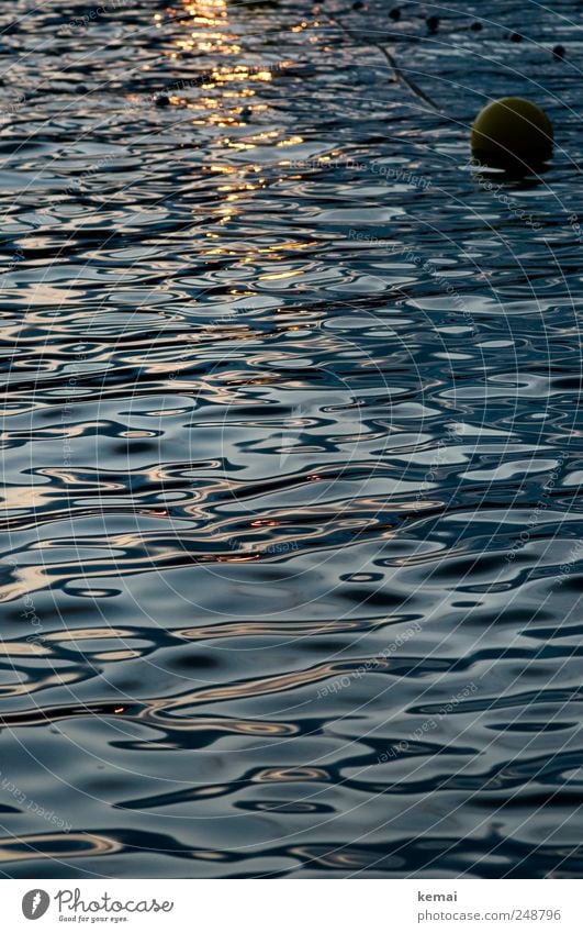 Wie Öl Ferien & Urlaub & Reisen Sommer Sommerurlaub Wasser Wellen Meer Kugel Barriere Schilder & Markierungen Schwimmen & Baden dunkel blau schwarz