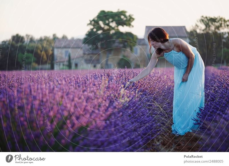 #A# lila Morgentau 1 Mensch ästhetisch Frau Mädchen Kleid Lavendel Lavendelfeld Lavendelernte violett feminin zart dezent Abenteuer Ferien & Urlaub & Reisen