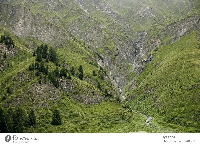 Der Berg ruft Wohlgefühl Erholung ruhig Ferien & Urlaub & Reisen Tourismus Ausflug Ferne Freiheit Berge u. Gebirge Umwelt Natur Landschaft Baum Wiese Alpen