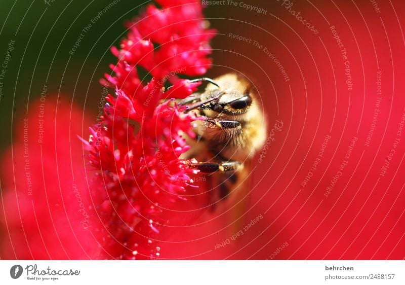 Kleine Wichtigkeit Natur Ein Lizenzfreies Stock Foto Von Photocase