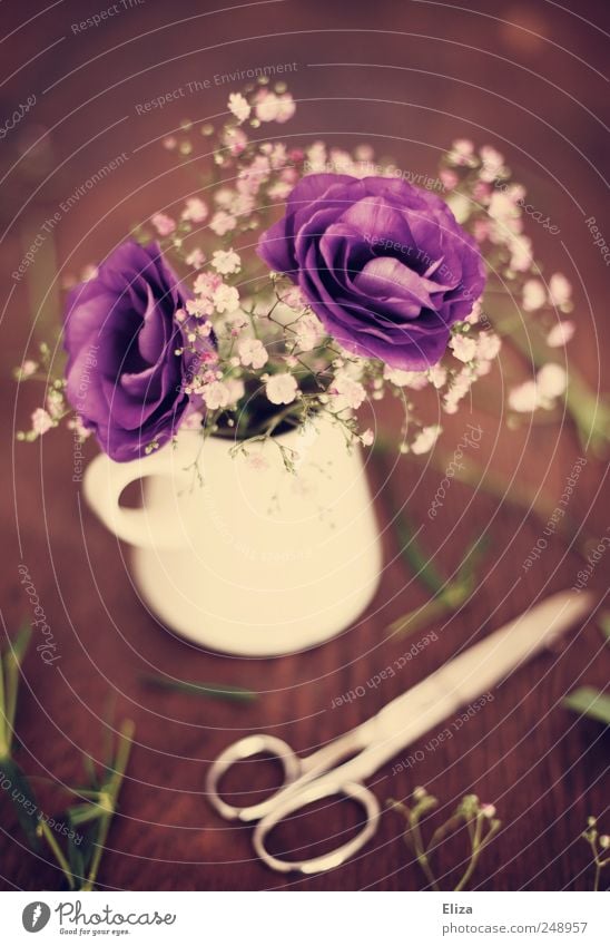 Purple. Dekoration & Verzierung Blume Blüte schön Tisch Holz Floristik Schere Vase geschnitten Schleierkraut altehrwürdig Stimmung verschönern Kitsch