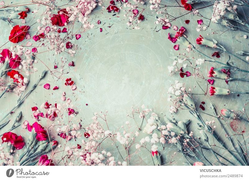 Nelke Blumen Rahmen Hintergrund Stil Design Sommer Feste & Feiern Natur Pflanze Blüte Dekoration & Verzierung Blumenstrauß Ornament trendy rosa Hintergrundbild