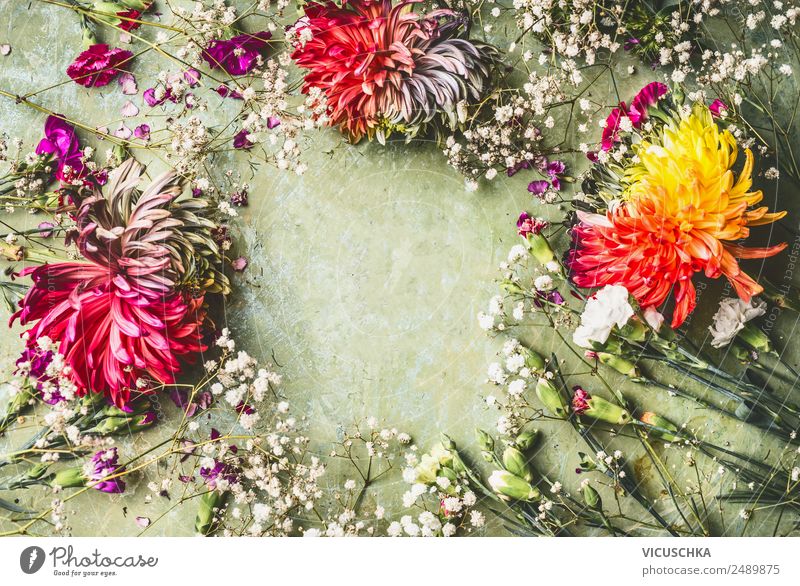 Sommerblumen Rahmen auf grün Lifestyle Stil Design Freizeit & Hobby Häusliches Leben Garten Feste & Feiern Natur Pflanze Blume Rose Blatt Blüte