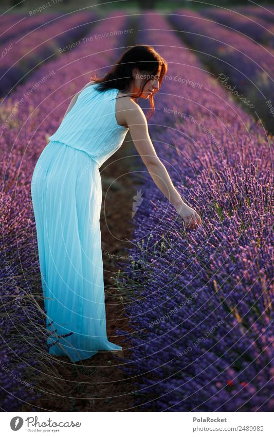 #A# Lavendel-Licht Umwelt Natur Landschaft Pflanze ästhetisch Kitsch Idylle violett Kleid Frau Mädchen mädchenhaft Romantik Lavendelfeld Lavendelernte Blühend