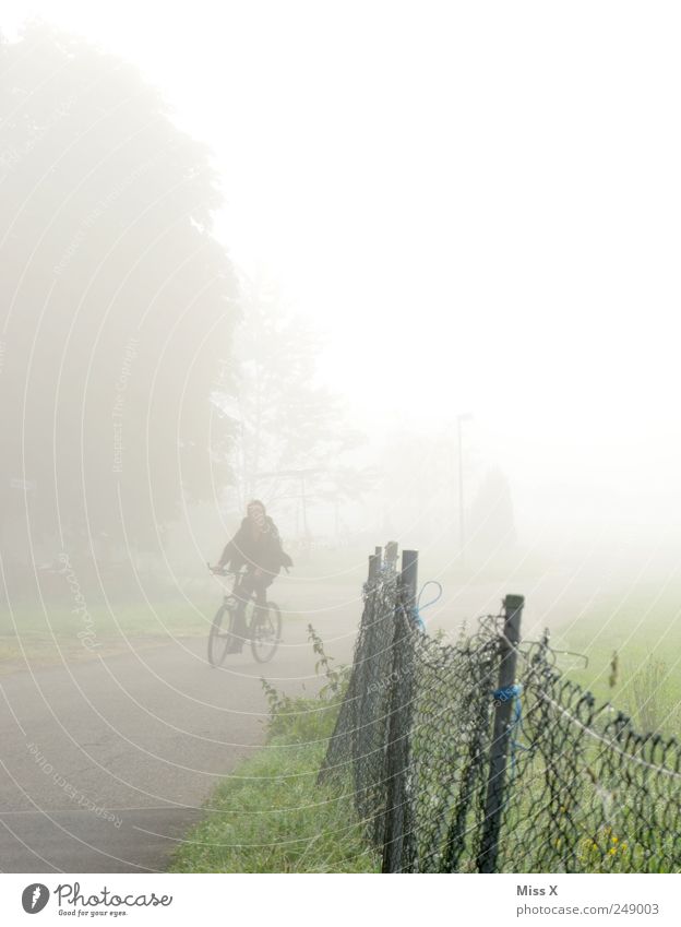 Radler Mensch 1 Natur Herbst schlechtes Wetter Nebel Wiese Straße Wege & Pfade fahren trist grau Zaun Fahrrad Fahrradweg Verkehrssicherheit Nebelschleier