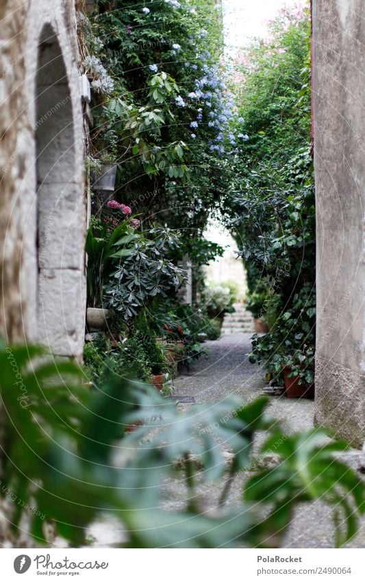 #A# GSSE Kunst Kunstwerk ästhetisch Gasse mediterran Straße bewachsen Hinterhof Idylle Frankreich Provence Kleinstadt Romantik verstecken Altstadt verträumt