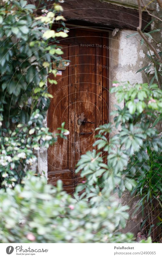 #A# Türwuchs Kunst Zufriedenheit Eingangstür Garten Französisch verstecken Schatz mystisch Frankreich Provence Holztür Farbfoto mehrfarbig Außenaufnahme