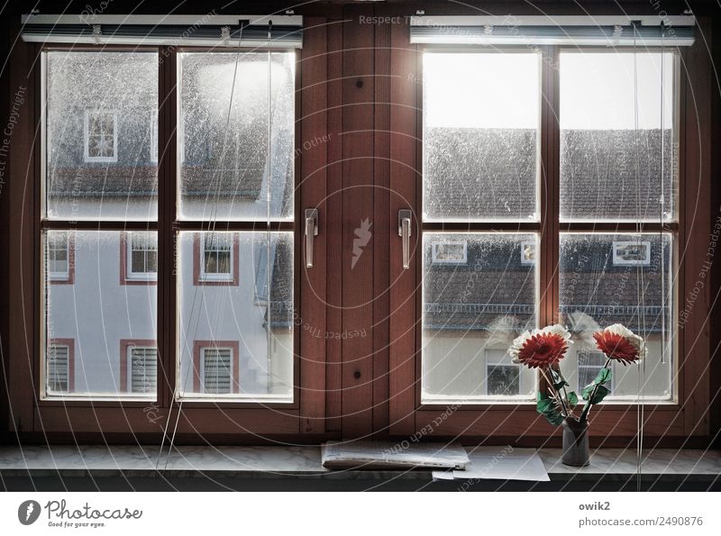 Eingeschränkte Aussicht Kleinstadt Haus Gebäude Mauer Wand Fassade Fenster Dach Fensterrahmen Kunstblume Blumenvase Jalousie Holz Glas Metall Kunststoff