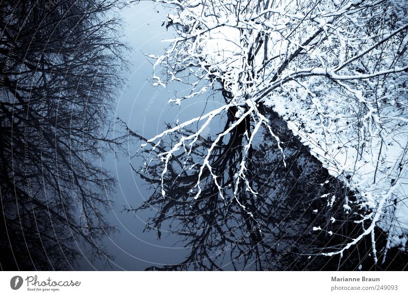 Winter in ... Natur Wasser Himmel Eis Frost Schnee Baum Wald Flussufer Bach Blick kalt schwarz weiß Stimmung schön Schönes Wetter Reflexion & Spiegelung