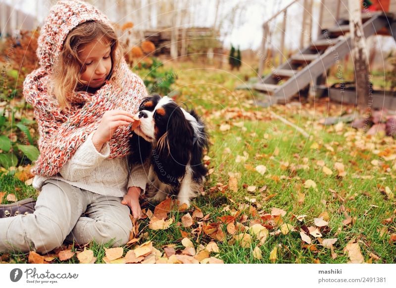 fröhliches Kind Mädchen, das im Herbst mit ihrem Hund spielt. Lifestyle Freude Glück Spielen Garten Familie & Verwandtschaft Freundschaft Kindheit Natur Wärme
