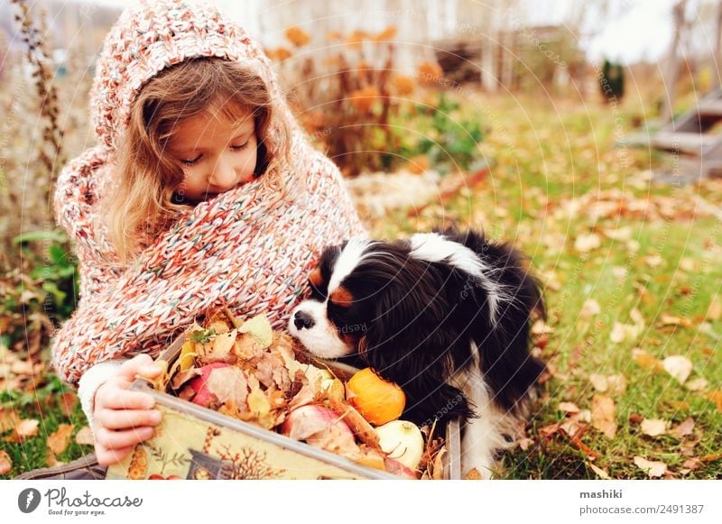 fröhliches Kind Mädchen mit einem Korb voller Äpfel, das mit ihrem Hund spielt. Apfel Lifestyle Freude Spielen Familie & Verwandtschaft Freundschaft Kindheit