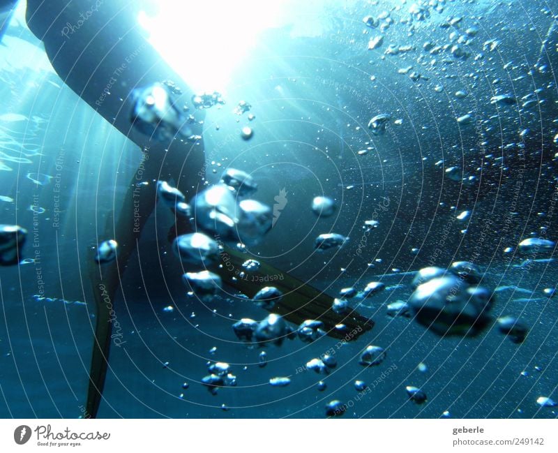 Unterwasserblau tauchen Wasser schwarz Luftblase Farbfoto Unterwasseraufnahme Silhouette Sonnenlicht Sonnenstrahlen