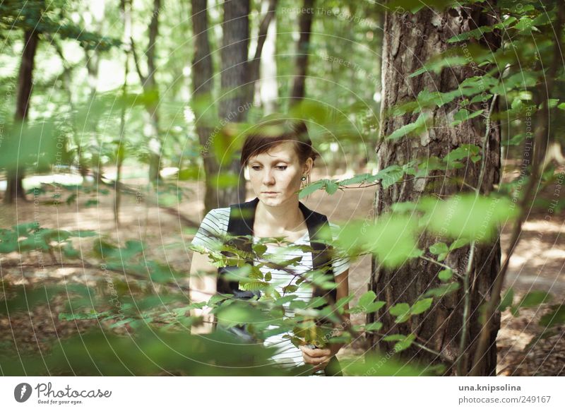 waldschrat Erholung ruhig Duft Ausflug feminin Junge Frau Jugendliche Erwachsene 1 Mensch 18-30 Jahre Umwelt Natur Pflanze Baum Blatt Wald T-Shirt brünett