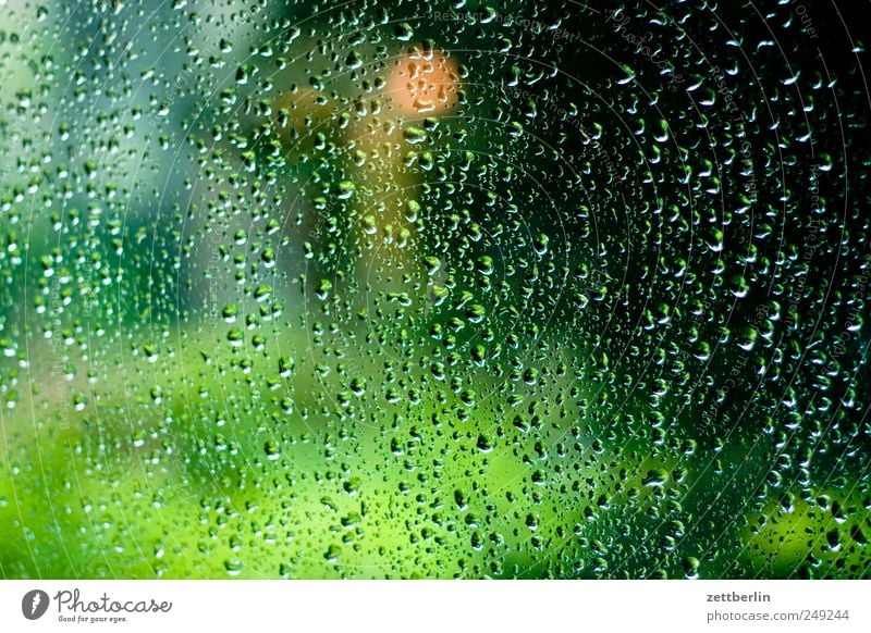 Regentropfen Umwelt Natur Landschaft Pflanze Wasser Wassertropfen Klima Klimawandel schlechtes Wetter Garten Park Gefühle Schöneberg street urban wallroth
