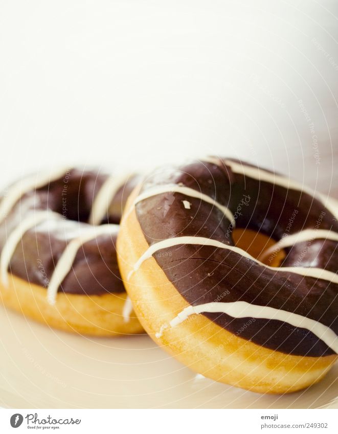 Donuts Dessert Süßwaren Schokolade Fingerfood lecker Krapfen 2 süß ungesund Snack Farbfoto Menschenleer Textfreiraum oben Hintergrund neutral