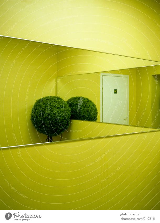 Doc #inside Mauer Wand Design "pokrov gleb". gleb pokrov Sibirien russland," Russland 645 Farbfoto Innenaufnahme abstrakt Strukturen & Formen Menschenleer
